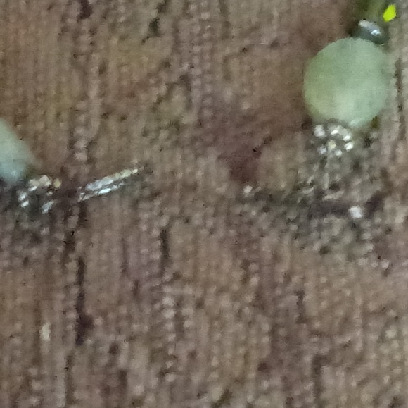 Ankle Bracelet - Picture 3 of 4